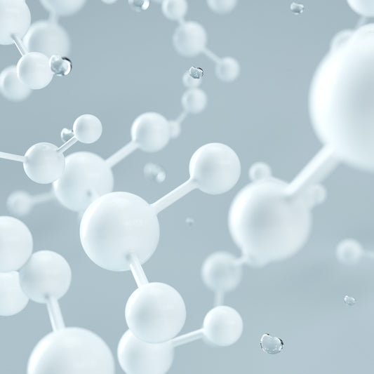What are endocannabinoids?