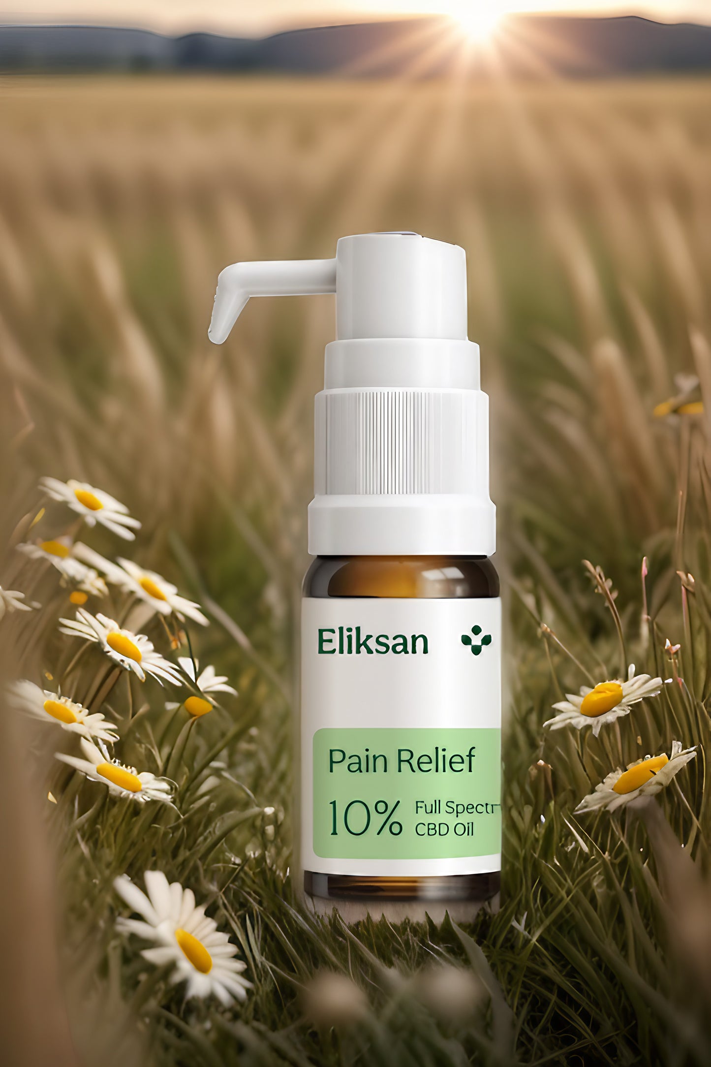 Full-spectrum 10% PAIN RELIEF CBD oil